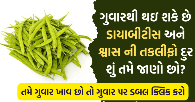 ગુવારથી થઇ શકે છે ડાયાબીટીસ અને શ્વાસ ની તકલીફો દુર શું તમે જાણો છો?