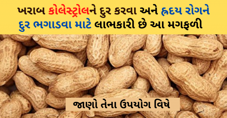 આ રીતે ખાશો મગફળી તો દુર ભાગશે કોલેસ્ટ્રોલ અને હ્રદય રોગની બીમારી