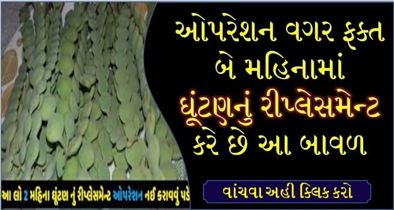 ઓપરેશન વગર ફક્ત બે મહિનામાં ઘૂંટણનું રીપ્લેસમેન્ટ કરે છે આ બાવળ