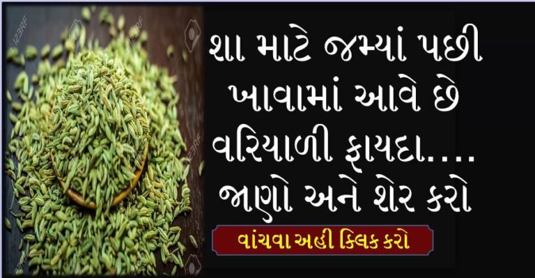 શા માટે જમ્યાં પછી ખાવામાં આવે છે વરિયાળી ફાયદા….જાણો અને શેર કરો