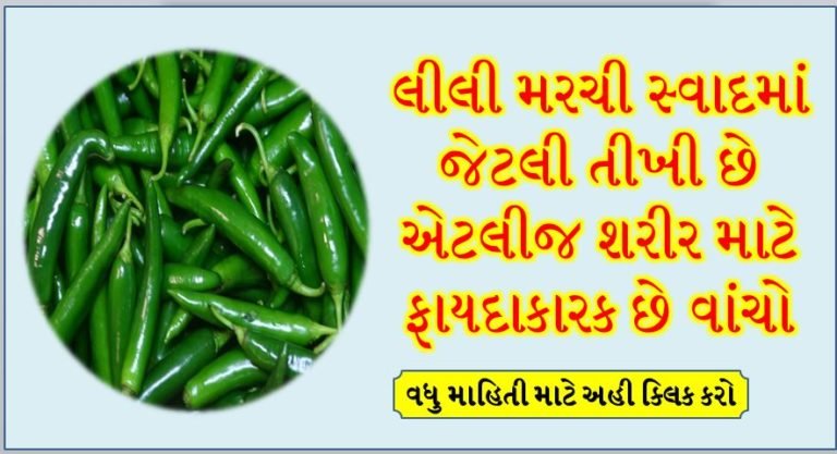 લીલી મરચી સ્વાદમાં જેટલી તીખી છે એટલીજ શરીર માટે ફાયદાકારક છે વાંચો