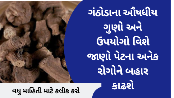 ગંઠોડાના ઔષધીય ગુણો અને ઉપયોગો વિશે જાણો પેટના અનેક રોગોને બહાર કાઢશે