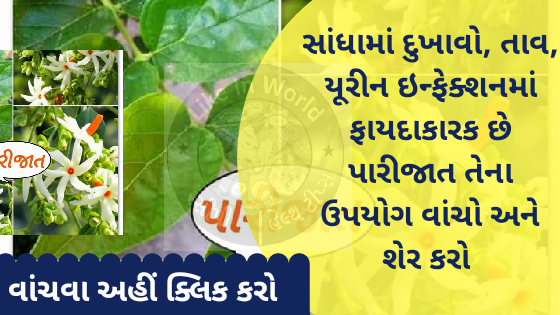 સાંધામાં દુખાવો, તાવ, યૂરીન ઇન્ફેક્શનમાં ફાયદાકારક છે પારીજાત તેના ઉપયોગ વાંચો અને શેર કરો