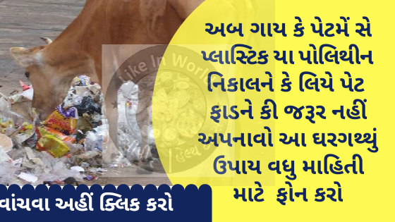 અબ ગાય કે પેટમેં સે પ્લાસ્ટિક યા પોલિથીન નિકાલને કે લિયે પેટ  ફાડને કી જરૂર નહીં અપનાવો આ ઘરગથ્થું ઉપાય વધુ માહિતી માટે  ફોન કરો