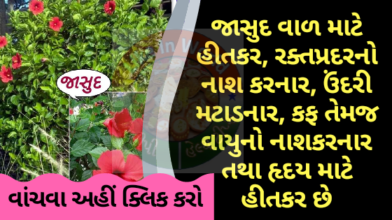 જાસુદ વાળ માટે હીતકર, રક્તપ્રદરનો નાશ કરનાર, ઉંદરી મટાડનાર, કફ તેમજ વાયુનો નાશકરનાર તથા હૃદય માટે હીતકર છે