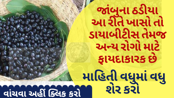 જાંબુના ઠડીયા આ રીતે ખાસો તો ડાયાબીટીસ તેમજ અન્ય રોગો માટે ફાયદાકારક છે