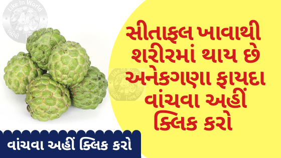 સીતાફલ ખાવાથી  શરીરમાં થાય છે અનેકગણા ફાયદા વાંચવા અહીં ક્લિક કરો