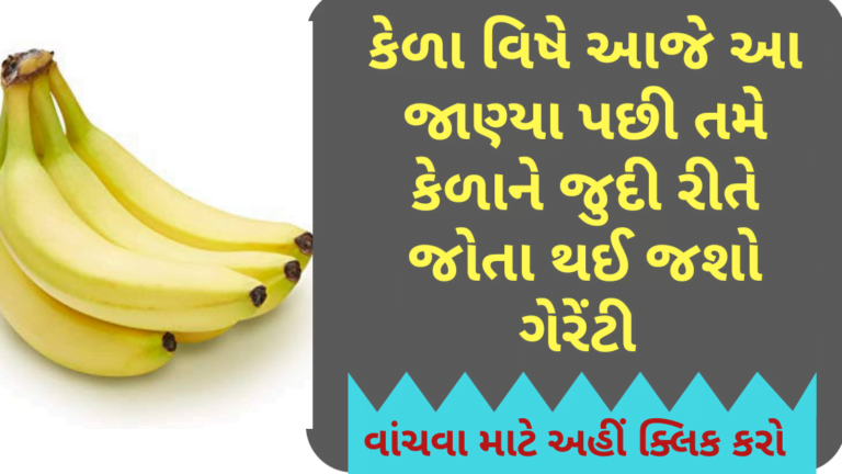 કેળા વિષે આજે આ જાણ્યા પછી તમે કેળાને જુદી રીતે જોતા થઈ જશો ગેરેંટી
