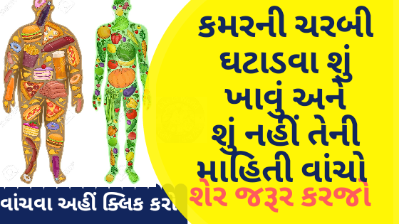 કમરની ચરબી ઘટાડવા શું ખાવું અને શું નહીં તેની માહિતી વાંચો