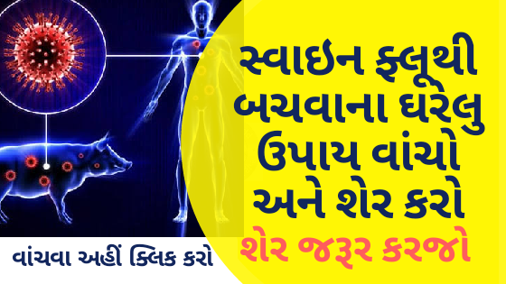 સ્વાઇન ફ્લૂથી બચવાના ઘરેલુ ઉપાય