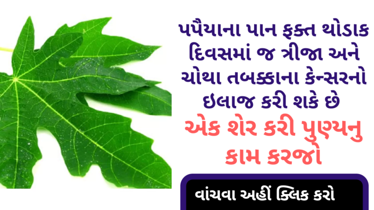 પપૈયાના પાન ફક્ત થોડા દિવસમાં ત્રીજા  અને ચોથા તબક્કાના કેન્સરનો ઇલાજ કરી શકે છે.