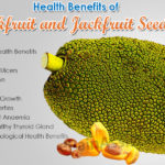 jackfruit-jackfruit-Seeds