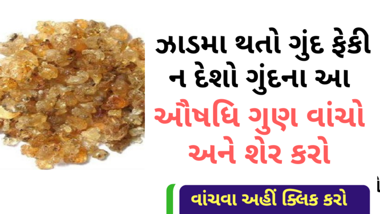 ઝાડમા થતો ગુંદ ફેકી ન દેશો ગુંદના આ ઔષધિ ગુણ વાંચો અને શેર કરો