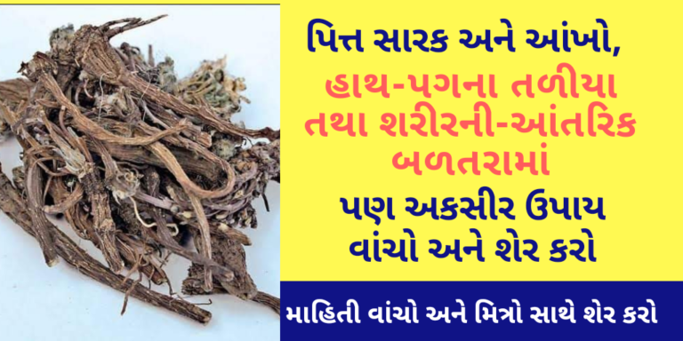 પિત્ત સારક અને આંખો, હાથ-પગના તળીયા તથા શરીરની-આંતરિક બળતરામાં પણ અકસીર ઉપાય વાંચો અને શેર કરો