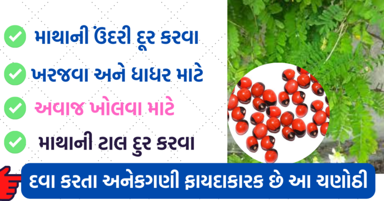 અવાજ ખોલવા, માથાની ઉંદરી દૂર કરવા, ખરજવા, પીત્ત મટાડવા ખુબ ઉપયોગી છે આ ચણોઠી