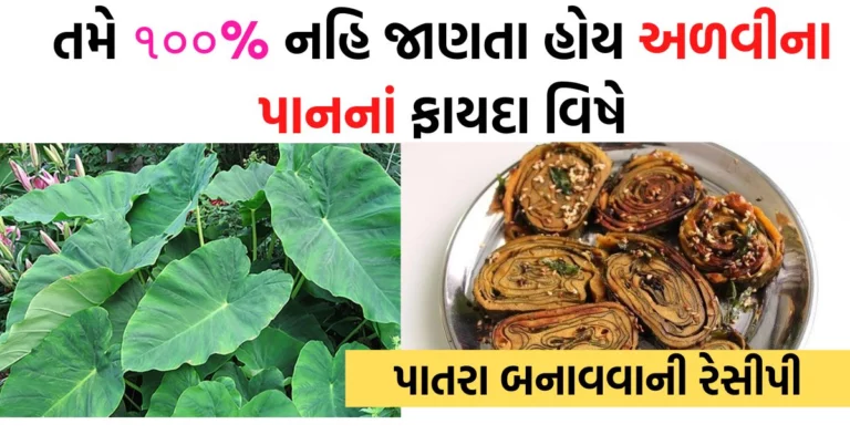 અળવીના પાનના આયુર્વેદ ઉપચાર અને પાતરા બનાવવાની રેસીપી વાંચવા અહીં ક્લિક કરો