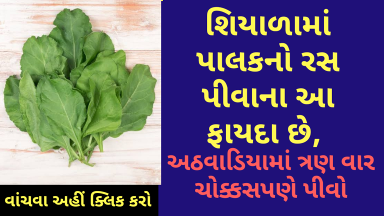 શિયાળામાં પાલકનો રસ પીવાના આ ફાયદા છે, અઠવાડિયામાં ત્રણ વાર ચોક્કસપણે પીવો