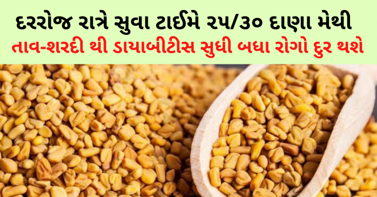 નિયમીત મેથીના દાણા ખાવાથી રોગપ્રતિકારક શક્તિ વધે છે અને બીજા ઘણાબધા ફાયદા છે