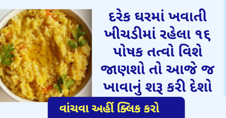 દરેક ઘરમાં ખવાતી ખીચડીમાં રહેલા ૧૬ પોષક તત્વો વિશે જાણશો તો આજે જ ખાવાનું શરૂ કરી દેશો