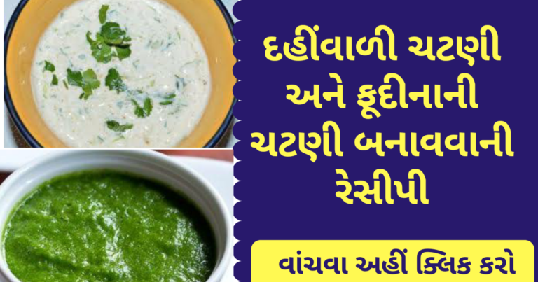 દહીંવાળી ચટણી અને ફૂદીનાની ચટણી બનાવવાની રેસીપી