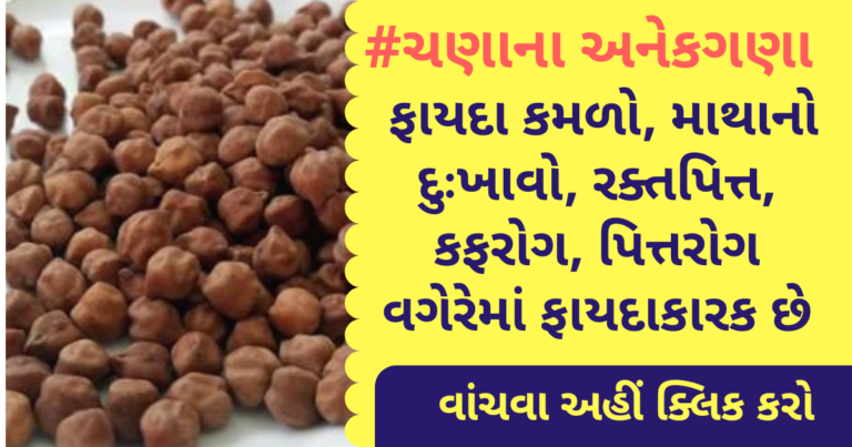 ચણાના અનેકગણા ફાયદા કમળો, માથાનો દુઃખાવો, રક્તપિત્ત, કફરોગ, પિત્તરોગ વગેરેમાં ફાયદાકારક છે