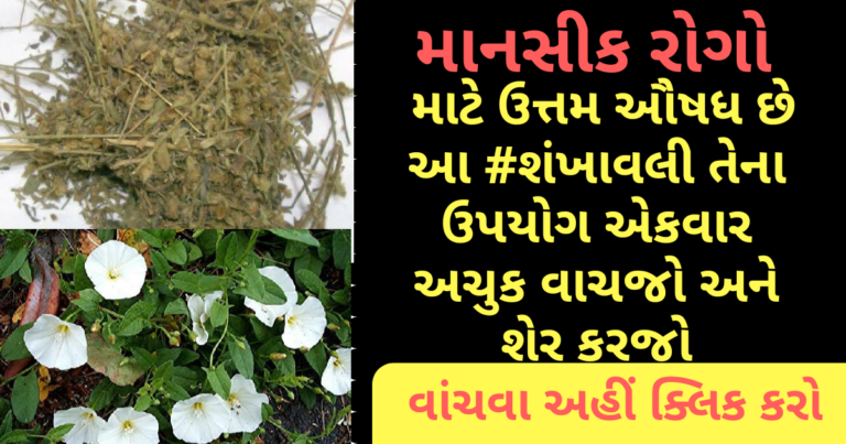 માનસીક રોગો માટે  ઉત્તમ ઔષધ છે આ શંખાવલી તેના ઉપયોગ એકવાર અચુક વાચજો અને શેર કરજો