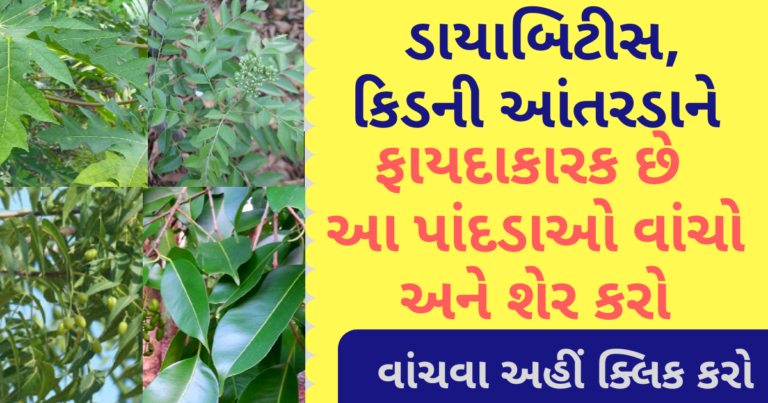 ડાયાબિટીસ, કિડની  આંતરડાને ફાયદાકારક છે આ પાંદડાઓ વાંચો અને શેર કરો