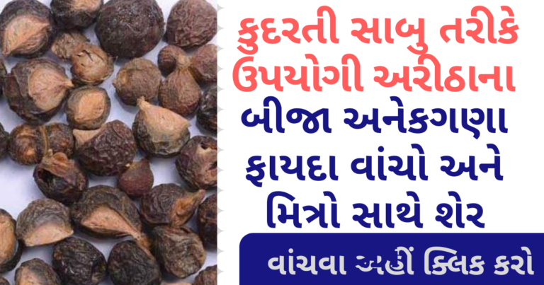 કુદરતી સાબુ તરીકે ઉપયોગી અરીઠાના બીજા અનેકગણા ફાયદા વાંચો અને મિત્રો સાથે શેર કરો