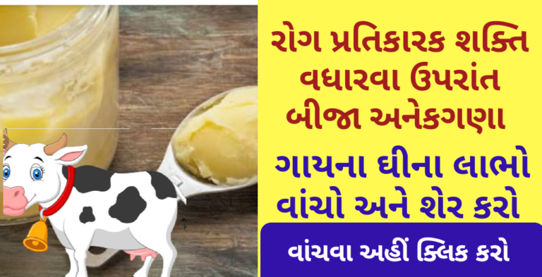 રોગ પ્રતિકારક શક્તિ વધારવા માટે ગાયના ઘીના અનેક લાભો વાંચો અને શેર કરો