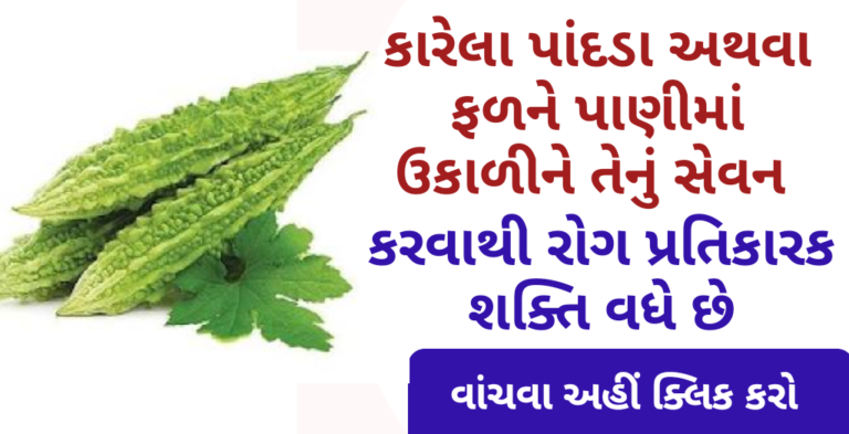કારેલા પાંદડા અથવા ફળને પાણીમાં ઉકાળીને તેનું સેવન કરવાથી રોગ પ્રતિકારક શક્તિ વધે છે
