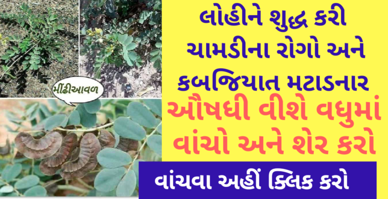 લોહીને શુદ્ધ કરી ચામડી …ના રોગો મટાડનાર ઔષધી વીશે વધુમાં વાંચો અને શેર કરો