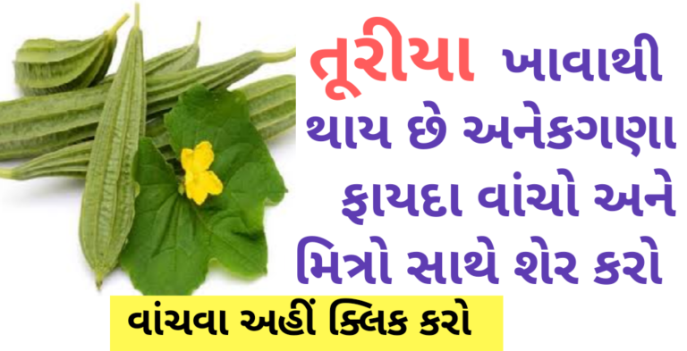 તુરીયા ખાવાથી થાય છે અનેકગણા ફાયદા વાંચો અને મિત્રો સાથે શેર કરો