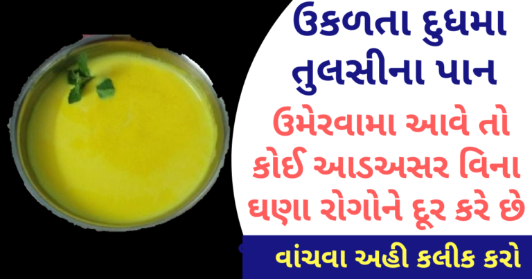 કેટલાક રોગોમાં મોતના મુખમાંથી બચવા ઉકળતા દુધમા તુલસીના પાન ઉમેરો