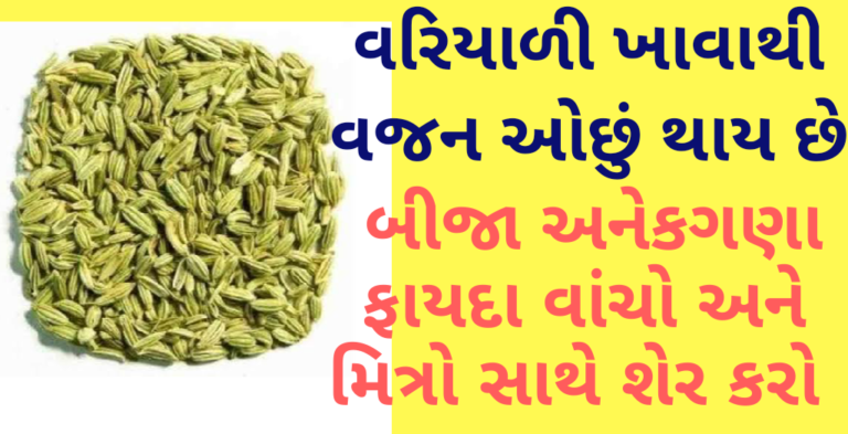 વરિયાળી ખાવાથી વજન ઓછું થાય છે બીજા અનેકગણા ફાયદા વાંચો અને મિત્રો સાથે શેર કરો