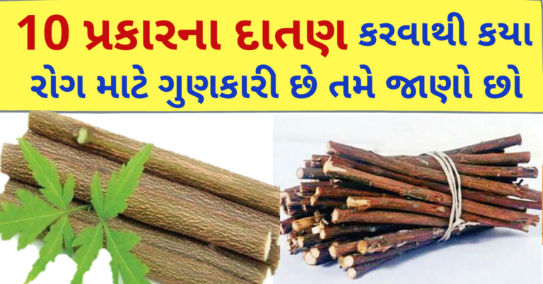 10 પ્રકારના દાતણ કરવાથી કયા રોગ માટે ગુણકારી છે તમે જાણો છો