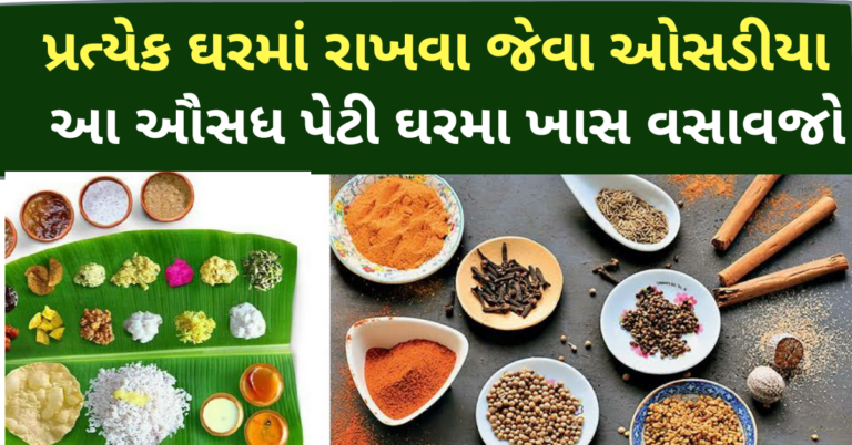 પ્રત્યેક ઘરમાં રાખવા જેવા ઓસડીયા આ ઔસધ પેટી ઘરમા ખાસ વસાવજો