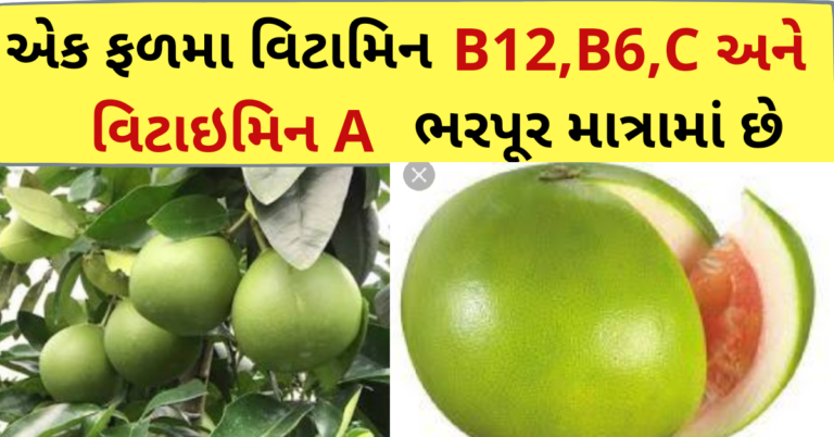 એક ફળમા વિટામિન B12,B6,C અને વિટાઇમિન A ભરપૂર માત્રામાં છે