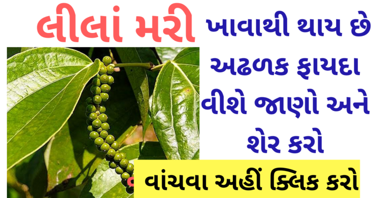 લીલાં મરી ખાવાથી થાય છે અઢળક ફાયદા વીશે જાણો અને શેર કરો