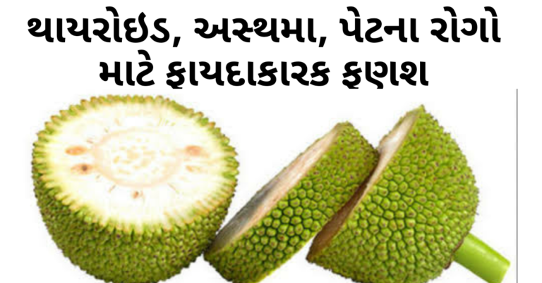 થાયરોઇડ, અસ્થમા, પેટના રોગો માટે ફાયદાકારક ફણશ