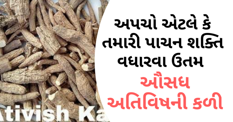 અપચો અેટલે કે તમારી પાચન શક્તિ વધારવા ઉતમ ઔસધ અતિવિષની કળી