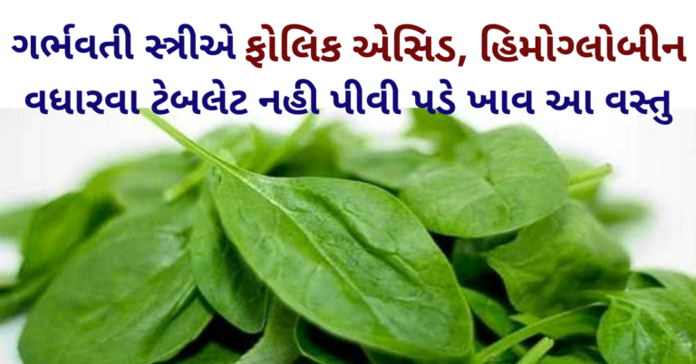 ગર્ભવતી સ્ત્રીઓમાં ફોલિક એસિડ,  હિમોગ્લોબીન વધારવા ટેબલેટ નહી પીવો પડે ખાવ આ વસ્તુ