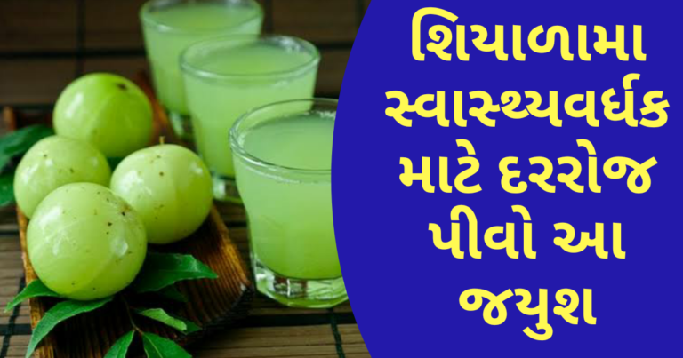 શિયાળામા સ્વાસ્થ્યવર્ધક માટે દરરોજ પીવો આ જયુશ અનેક બીમારીઓ રહેશે દૂર