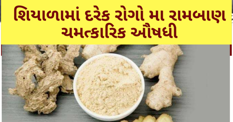 શિયાળામાં દરેક રોગો મા રામબાણ ચમત્કારિક ઔષધી