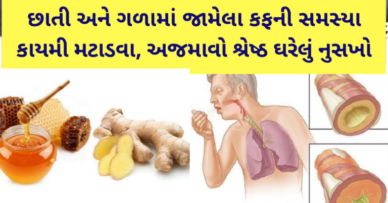 છાતી અને ગળામાં જામેલા કફની સમસ્યા કાયમી મટાડવા, અજમાવો શ્રેષ્ઠ ઘરેલું નુસખો