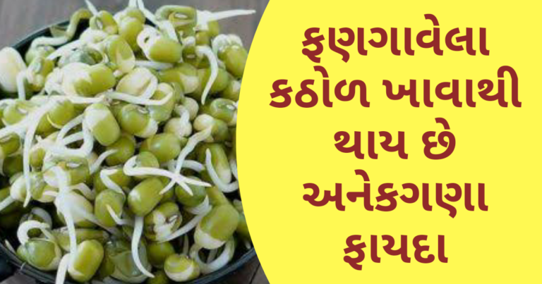 ફણગાવેલા કઠોળ ખાવાથી થાય છે અનેકગણા ફાયદા