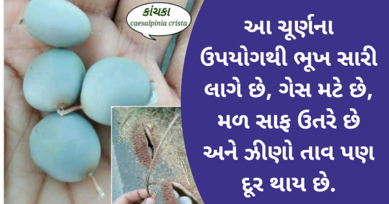 સાવ મફતમાં વાળમાં ઉગી નીકળતા આ કાંચકા કેન્સરની ગાંઠના કોષોનો નાશ કરે છે