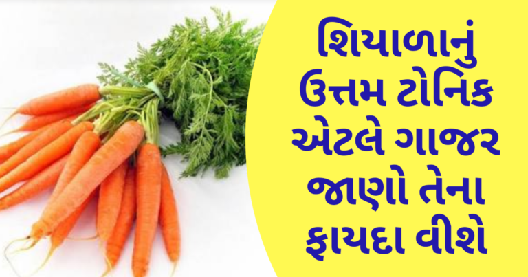 શિયાળાનું ઉત્તમ ટોનિક એટલે ગાજર જાણો તેના ફાયદા વીશે