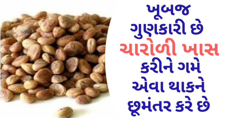 ખૂબજ ગુણકારી છે ચારોળી ખાસ કરીને ગમે એવા થાકને છૂમંતર કરે છે