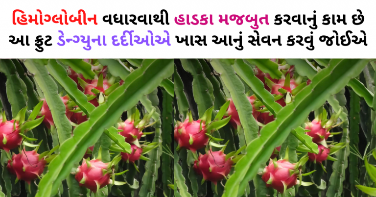 હિમોગ્લોબીન વધારવાથી હાડકા મજબુત કરવાનું કામ છે આ ફ્રુટ ડેન્ગ્યુના દર્દીઓએ ખાસ આનું સેવન કરવું જોઈએ