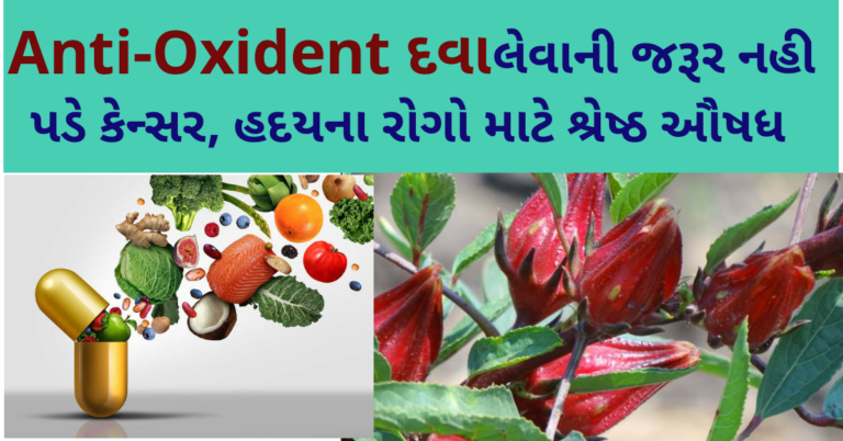 Anti-Oxident દવા લેવાની જરૂર નહી પડે કેન્સર, હદયના રોગો માટે શ્રેષ્ઠ ઔષધ